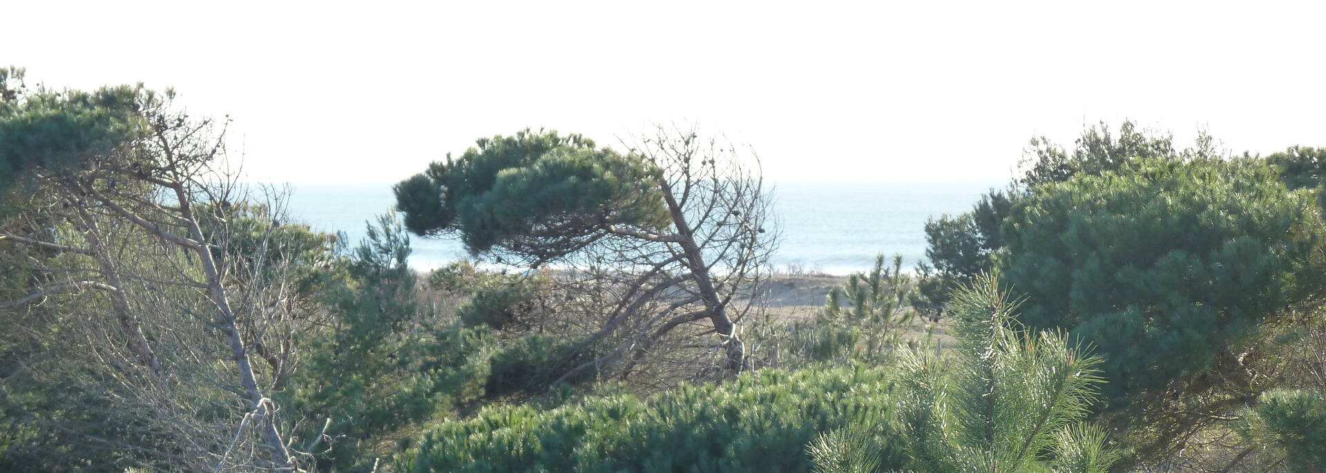 Access to the beach at Boyardville