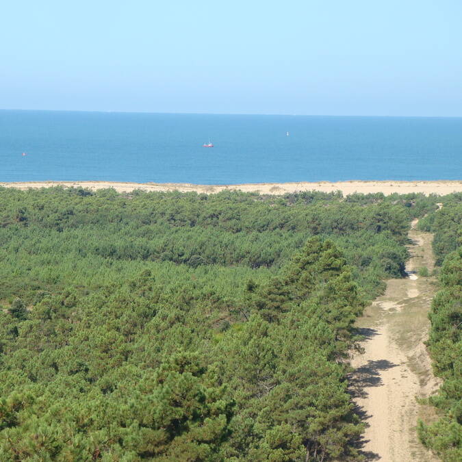 The cote sauvage, the forests and the sea © Elsa COEFFE / CMT