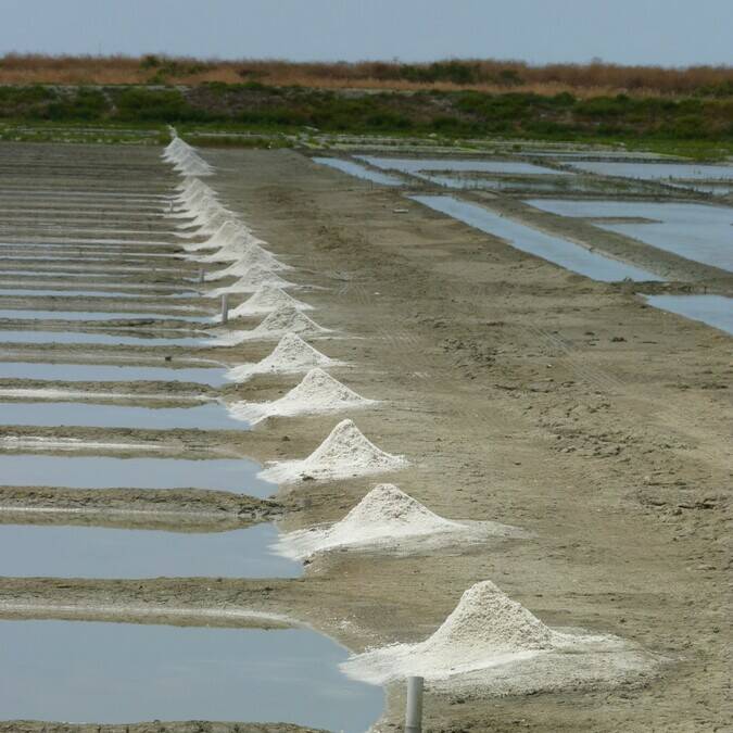 Salt marshes on the Ile de Ré © FDHPA 17