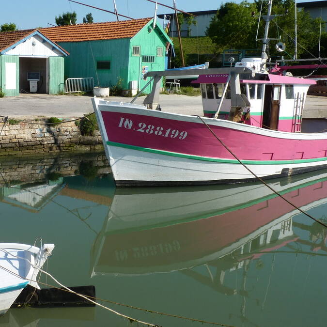 Oyster huts on the port of Château d'Oléron © FDHPA 17